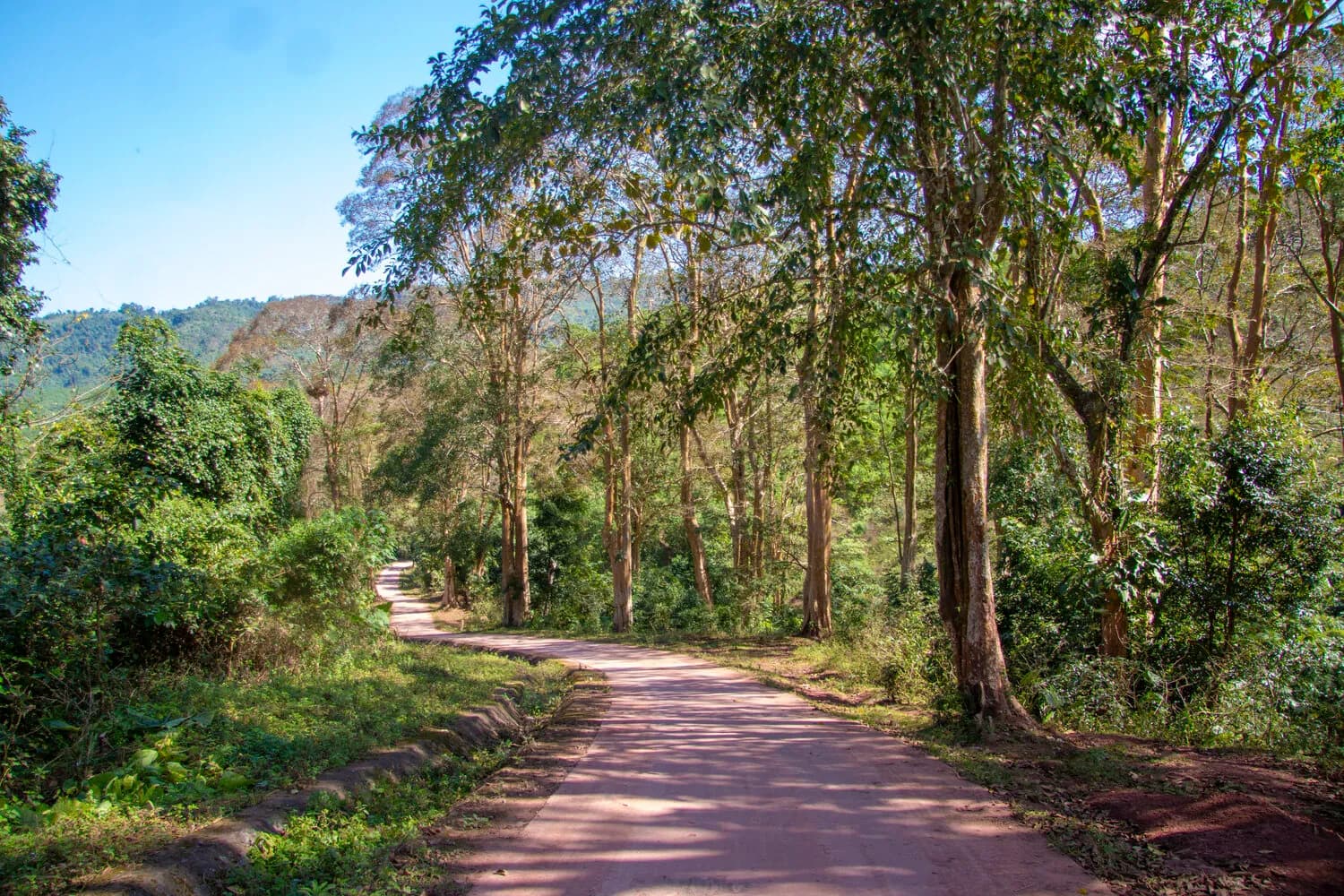 duong-20-quyet-thang-ngay-nay.webp
