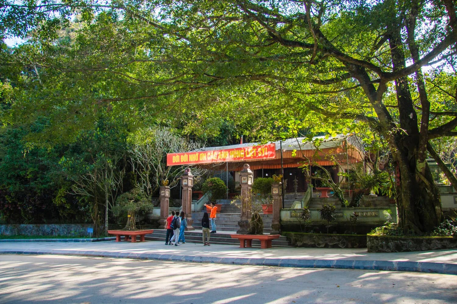 hang-tam-co.webp