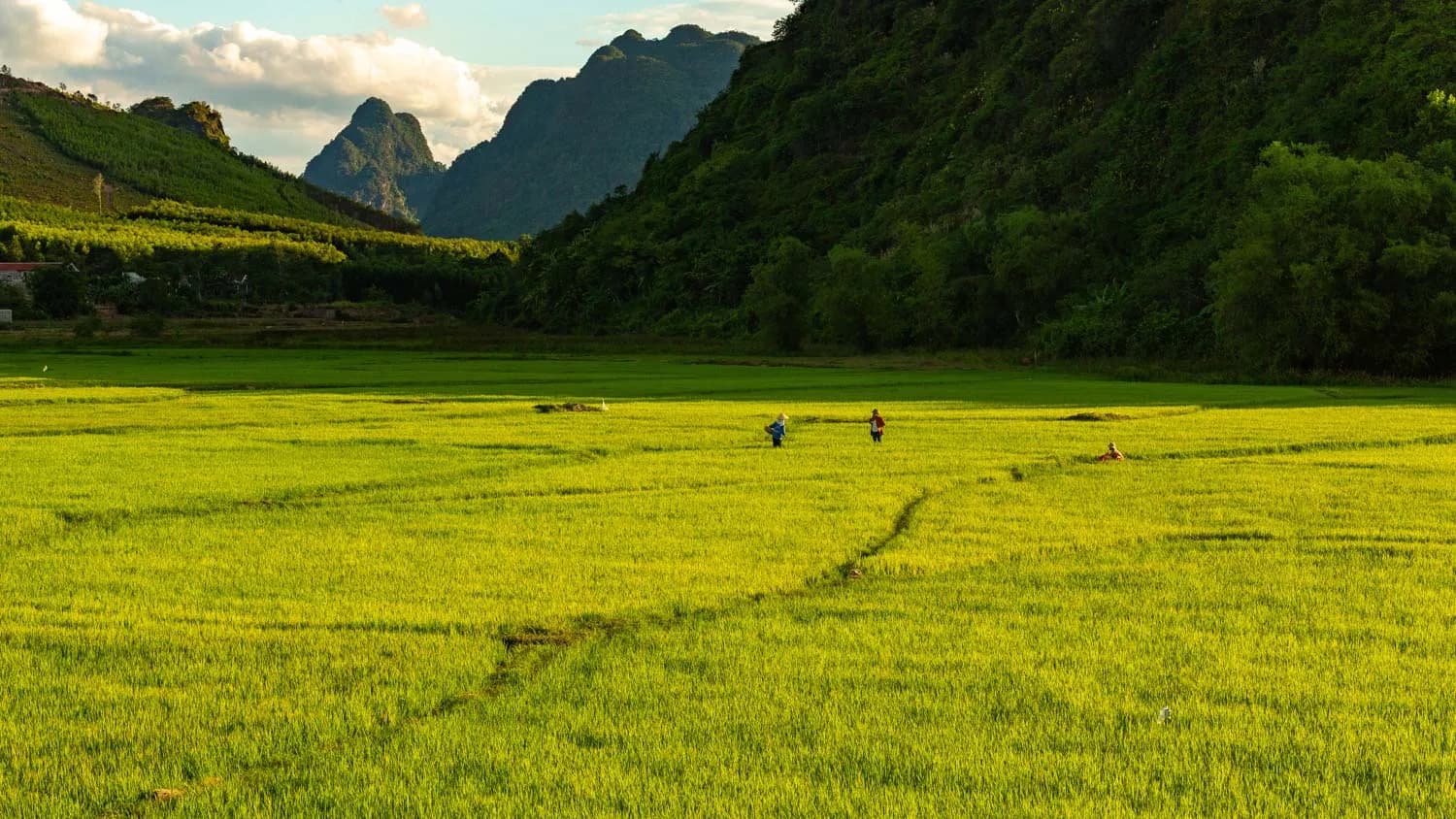 thoi-tiet-phong-nha-1.webp